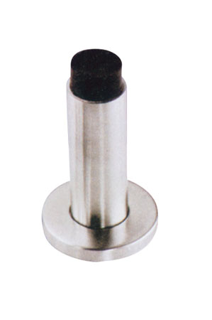DS019